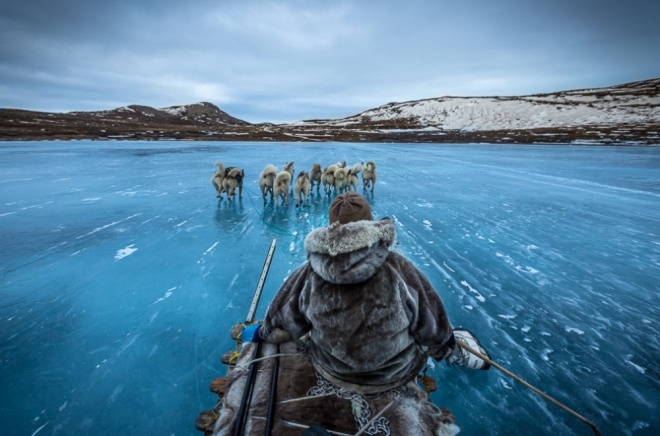 The 100 best photographs ever taken without photoshop - Dog sledding in Greenland