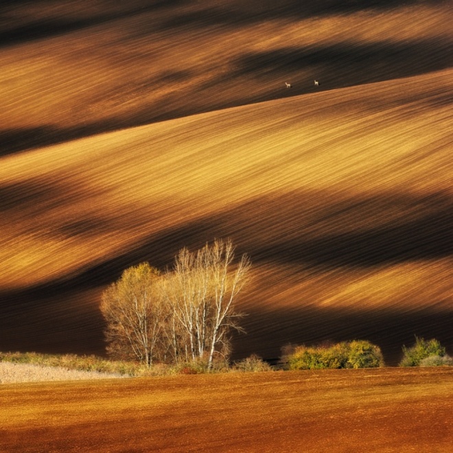 The 100 best photographs ever taken without photoshop - Moravian fields, Czech Republic